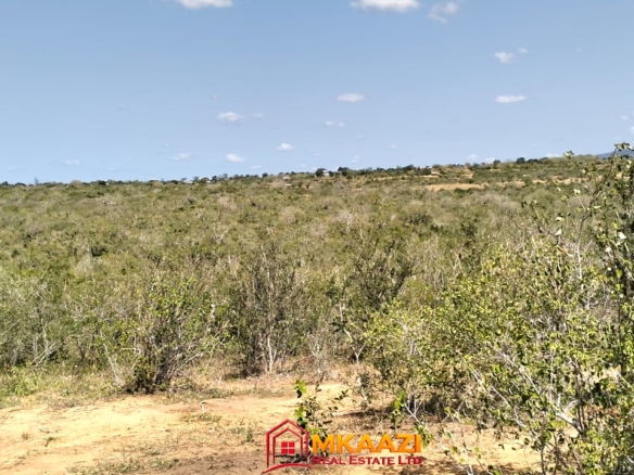 17-acre fertile virgin land for sale or lease in Nyamala, Baolala, Malindi with freehold title, next to a seasonal dam, ideal for commercial farming and agricultural investment.