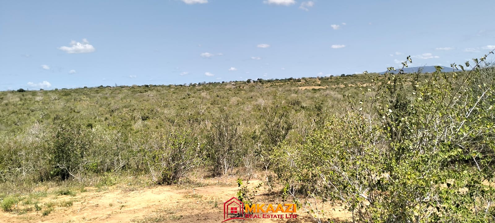 17-acre fertile virgin land for sale or lease in Nyamala, Baolala, Malindi with freehold title, next to a seasonal dam, ideal for commercial farming and agricultural investment.