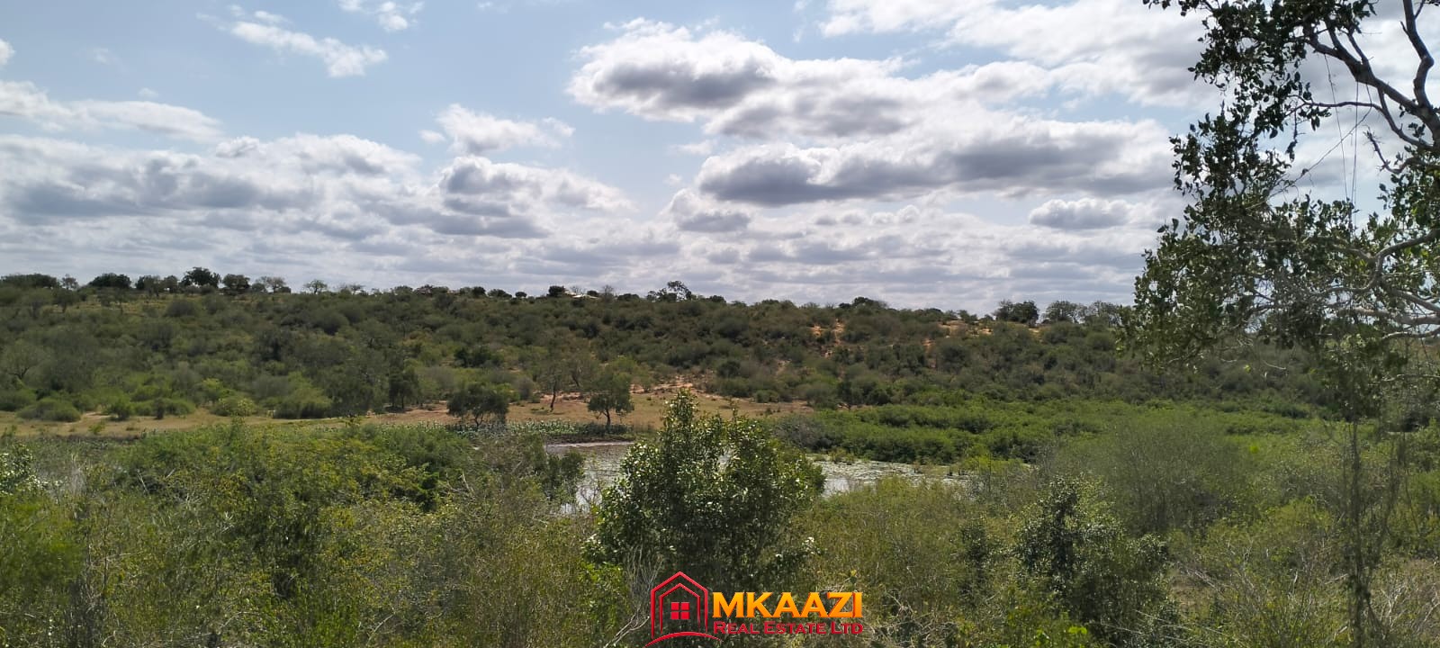17-acre fertile virgin land for sale or lease in Nyamala, Baolala, Malindi with freehold title, next to a seasonal dam, ideal for commercial farming and agricultural investment.