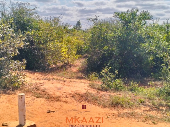 Prime 6-acre road frontage land for sale in Baolala with direct tarmac frontage, water and electricity on site, freehold title, ideal for commercial, residential, or agricultural investment.