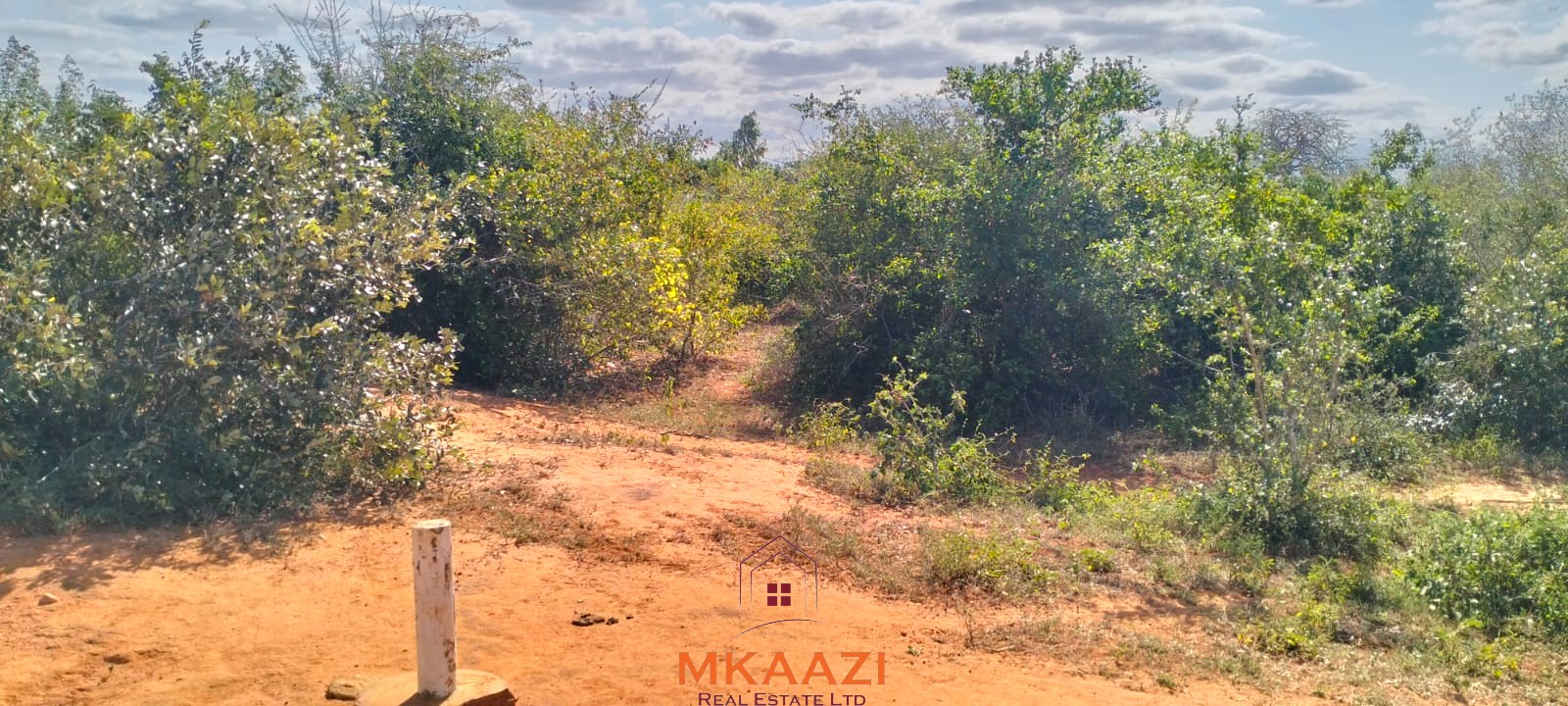 Prime 6-acre road frontage land for sale in Baolala with direct tarmac frontage, water and electricity on site, freehold title, ideal for commercial, residential, or agricultural investment.