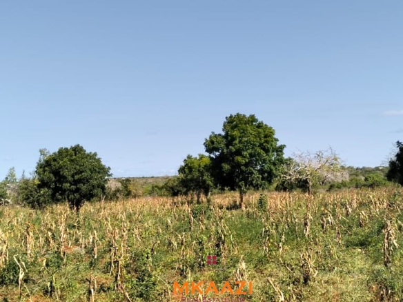 Prime 2.5-acre road frontage land for sale in Baolala with freehold title, electricity and water on site, ideal for residential, commercial, agricultural, and investment development.