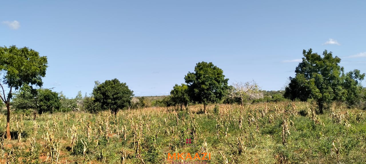 Prime 2.5-acre road frontage land for sale in Baolala with freehold title, electricity and water on site, ideal for residential, commercial, agricultural, and investment development.