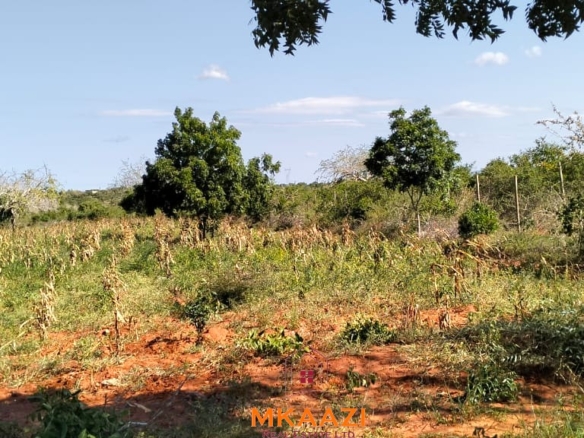 Prime 2.5-acre road frontage land for sale in Baolala with freehold title, electricity and water on site, ideal for residential, commercial, agricultural, and investment development.