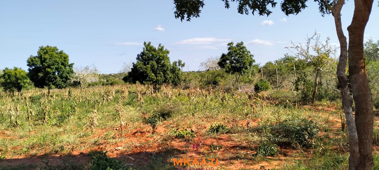Prime 2.5-acre road frontage land for sale in Baolala with freehold title, electricity and water on site, ideal for residential, commercial, agricultural, and investment development.