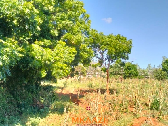 Prime 2.5-acre road frontage land for sale in Baolala with freehold title, electricity and water on site, ideal for residential, commercial, agricultural, and investment development.