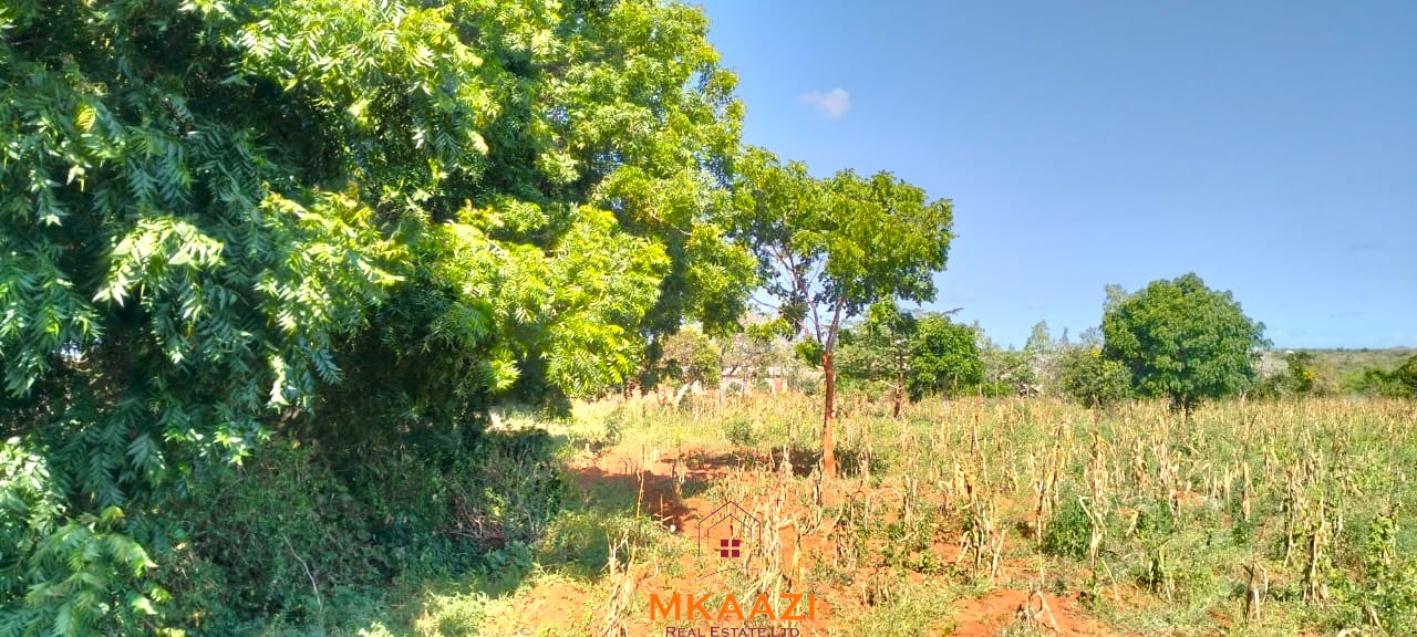 Prime 2.5-acre road frontage land for sale in Baolala with freehold title, electricity and water on site, ideal for residential, commercial, agricultural, and investment development.