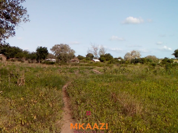 Prime 5-acre land for sale in Kakoneni Malindi located second row from the tarmac road with freehold title, electricity and water on site.