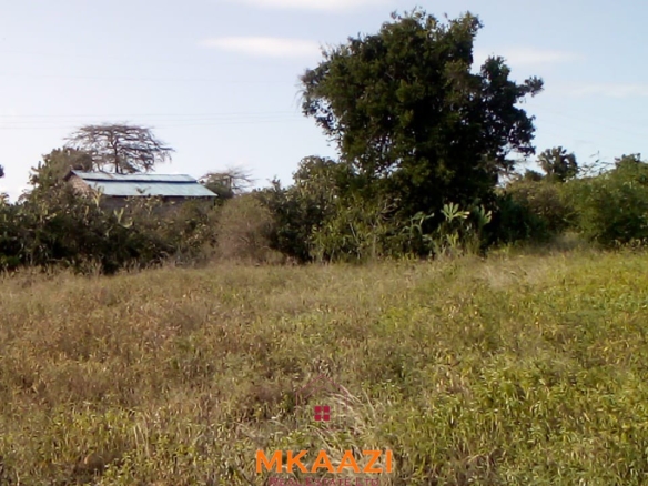 Prime 5-acre land for sale in Kakoneni Malindi located second row from the tarmac road with freehold title, electricity and water on site.