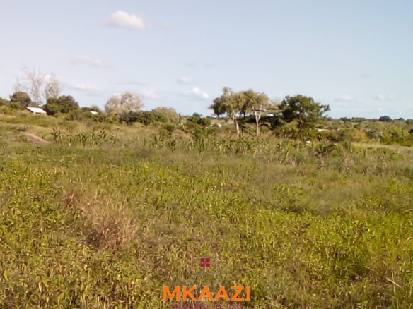Prime 5-acre land for sale in Kakoneni Malindi located second row from the tarmac road with freehold title, electricity and water on site.