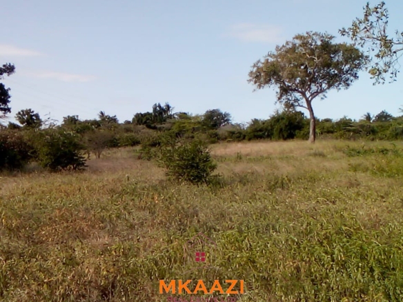 Prime 5-acre land for sale in Kakoneni Malindi located second row from the tarmac road with freehold title, electricity and water on site.