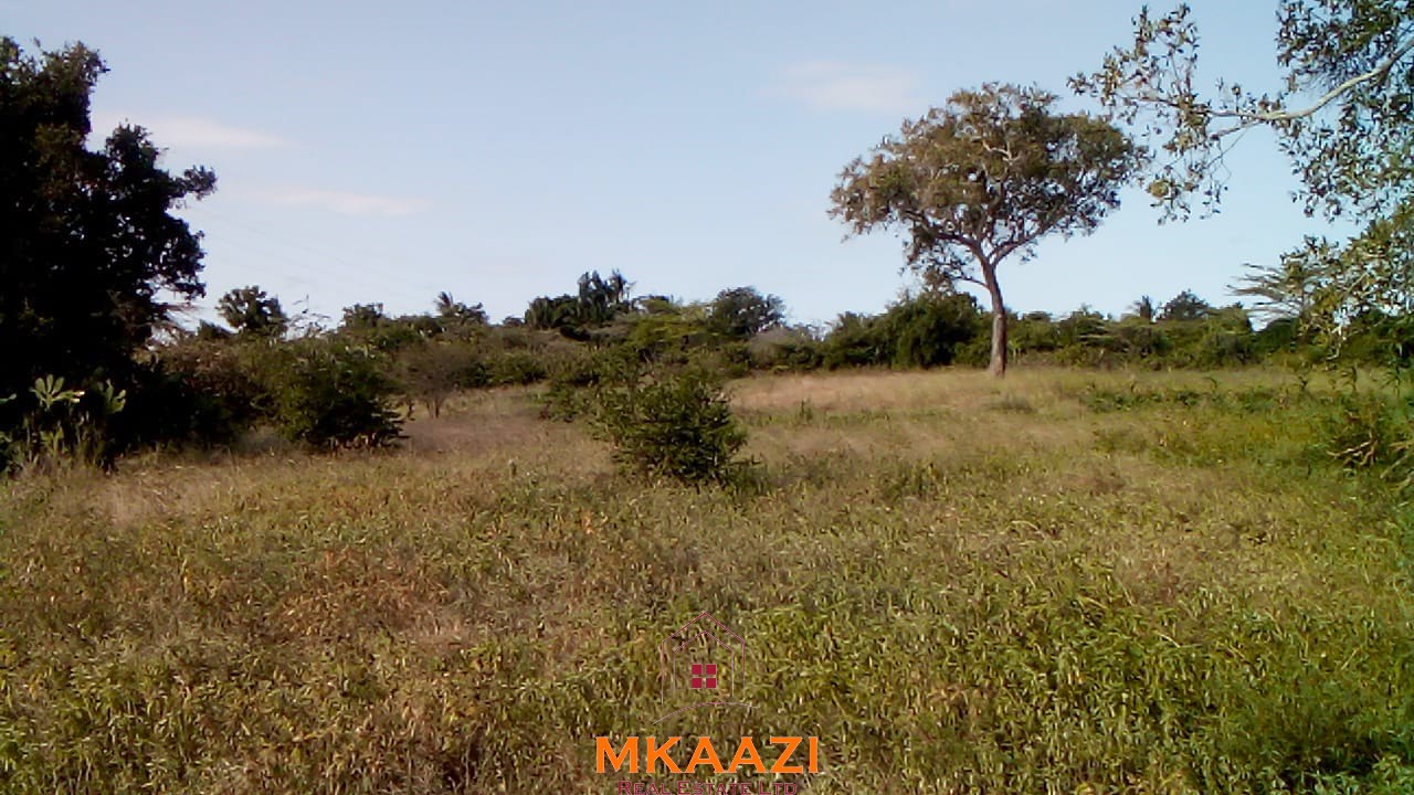 Prime 5-acre land for sale in Kakoneni Malindi located second row from the tarmac road with freehold title, electricity and water on site.
