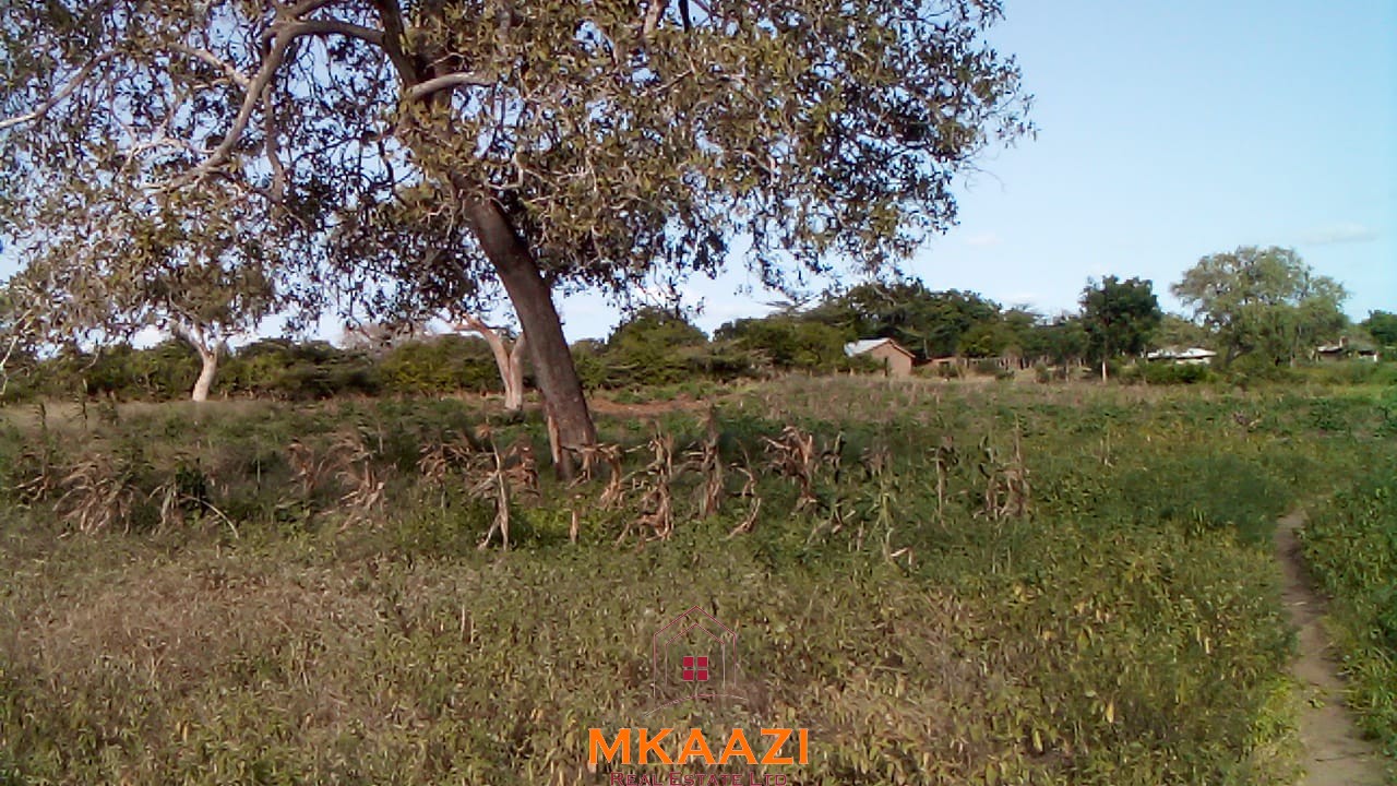 Prime 5-acre land for sale in Kakoneni Malindi located second row from the tarmac road with freehold title, electricity and water on site.