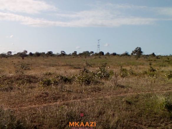 Prime 9-acre road frontage land for sale in Kakoneni Malindi with freehold title, water and electricity on site, suitable for residential, commercial and agricultural development.