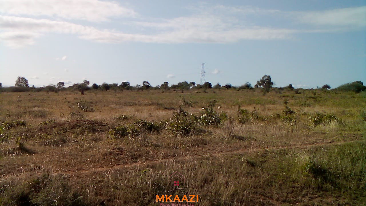 Prime 9-acre road frontage land for sale in Kakoneni Malindi with freehold title, water and electricity on site, suitable for residential, commercial and agricultural development.