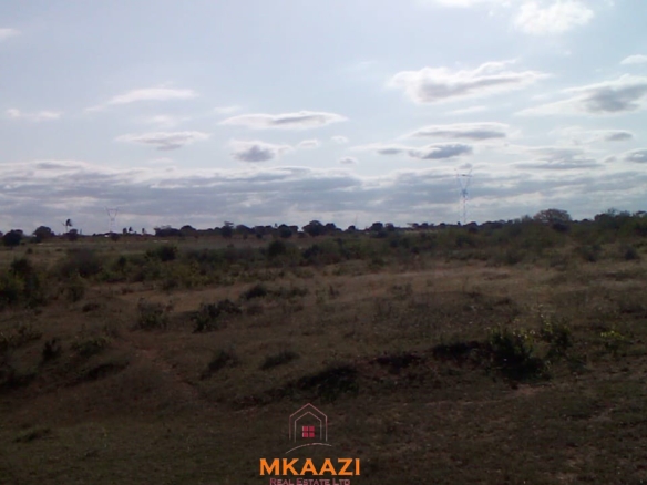 Prime 9-acre road frontage land for sale in Kakoneni Malindi with freehold title, water and electricity on site, suitable for residential, commercial and agricultural development.