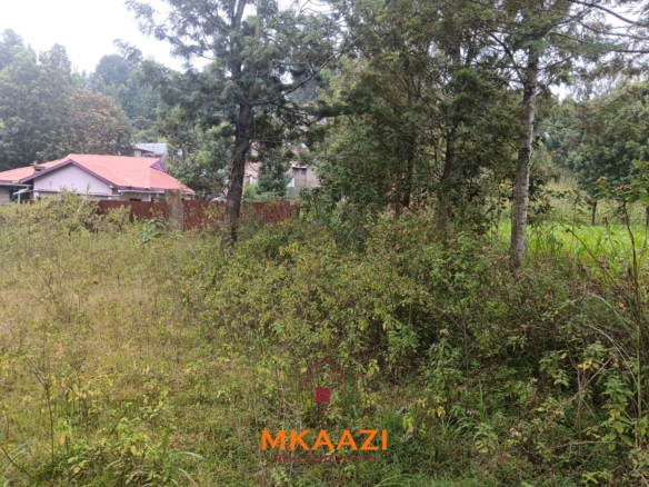 Prime 1/8-acre residential plots for sale in Kaara Area, Ngong Town near Ngong Police Station and the Ngong Archdiocese Catholic Bishop's residence.