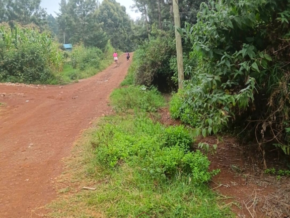 Prime 1/8-acre residential plots for sale in Kaara Area, Ngong Town near Ngong Police Station and the Ngong Archdiocese Catholic Bishop's residence.