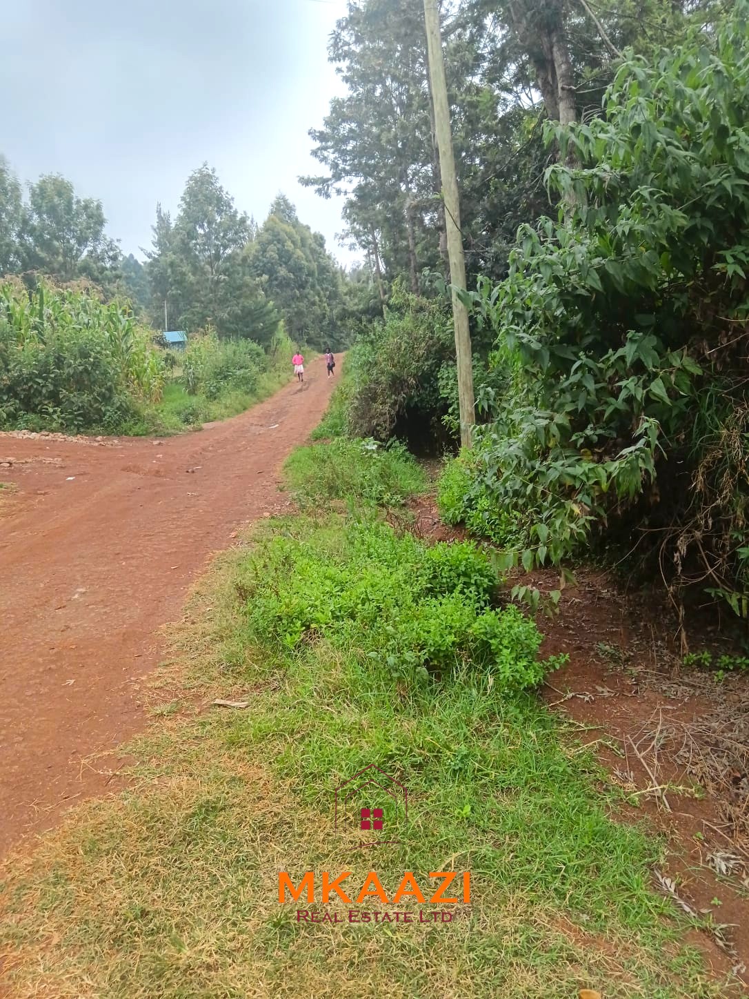Prime 1/8-acre residential plots for sale in Kaara Area, Ngong Town near Ngong Police Station and the Ngong Archdiocese Catholic Bishop's residence.