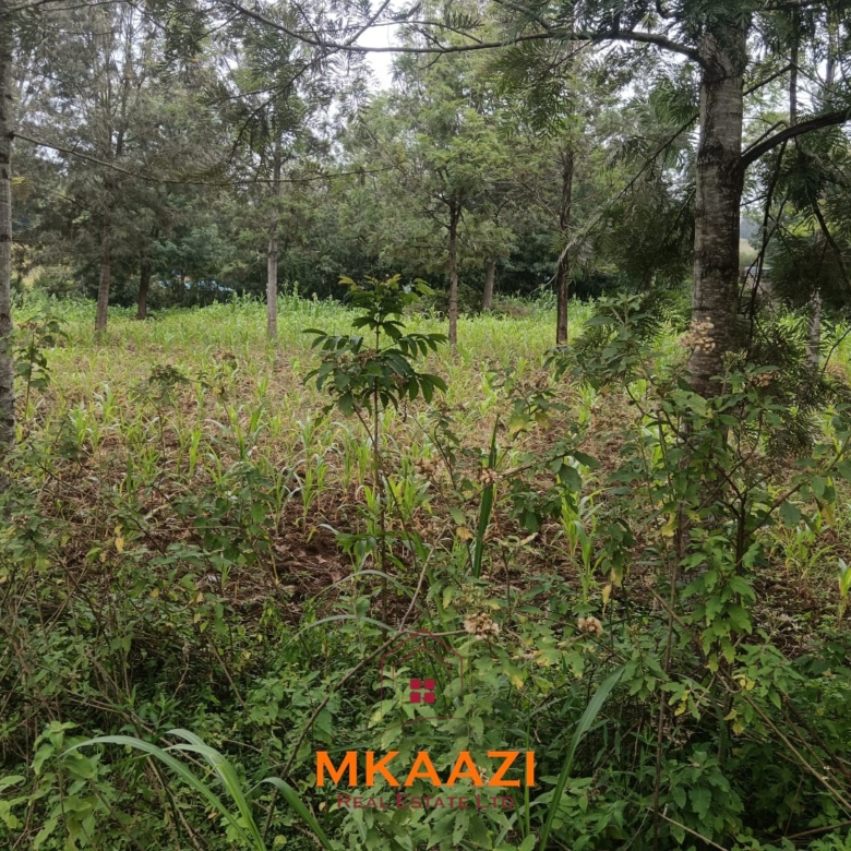 Prime 1/8-acre residential plots for sale in Kaara Area, Ngong Town near Ngong Police Station and the Ngong Archdiocese Catholic Bishop's residence.