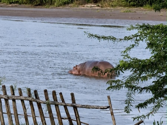 Fully furnished 4-bedroom riverside holiday house accommodating up to 10 guests with hippo views, spacious compound, and fully equipped kitchen.