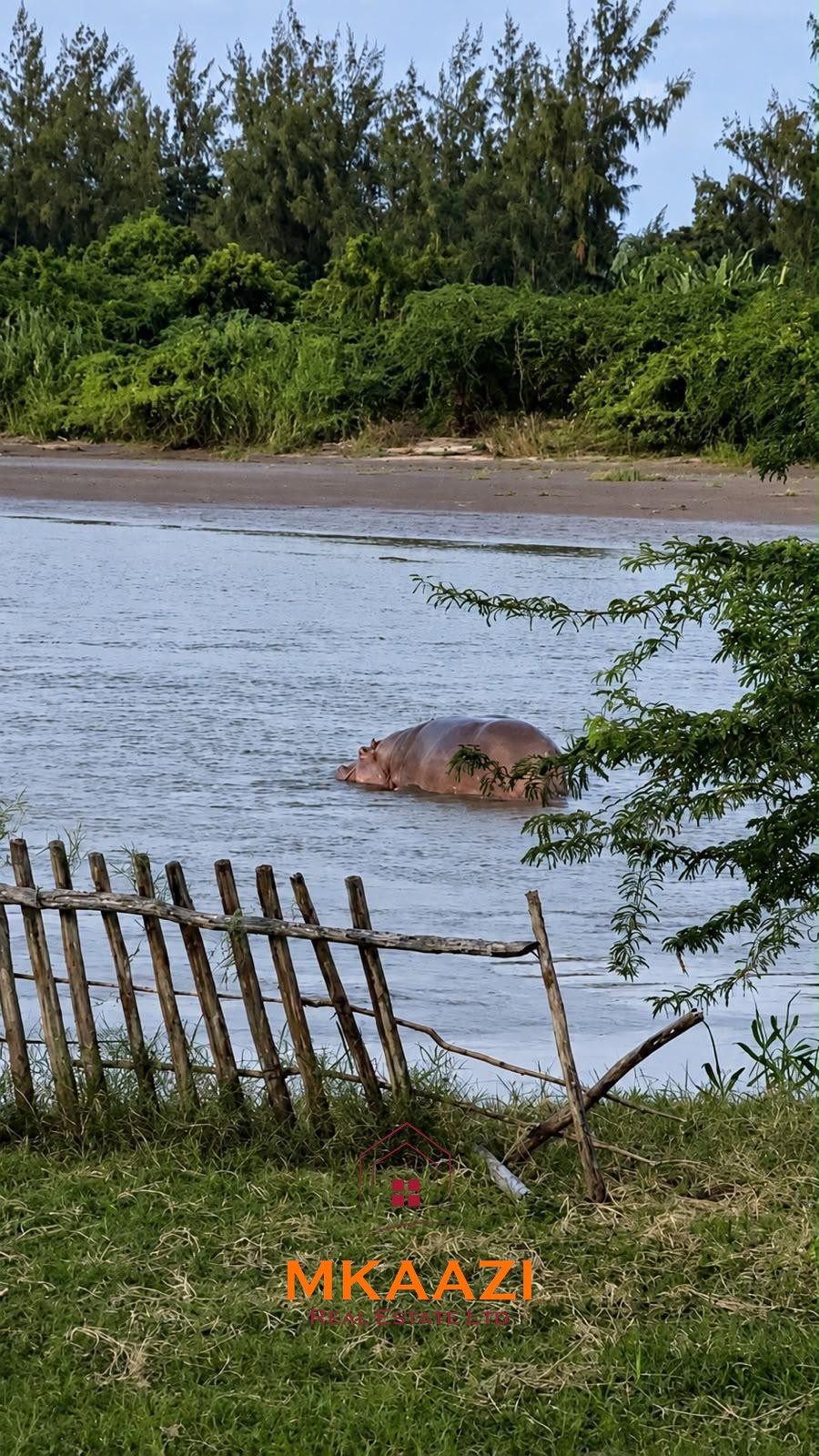 Fully furnished 4-bedroom riverside holiday house accommodating up to 10 guests with hippo views, spacious compound, and fully equipped kitchen.