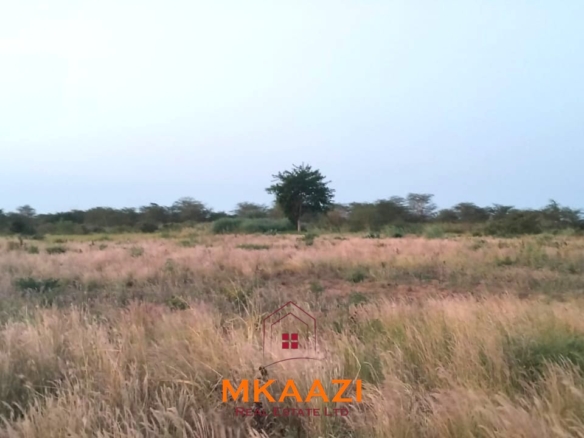 7-hectare fertile agricultural land for sale in Mariano, Kakoneni near River Sabaki with shallow groundwater and ideal conditions for commercial farming.