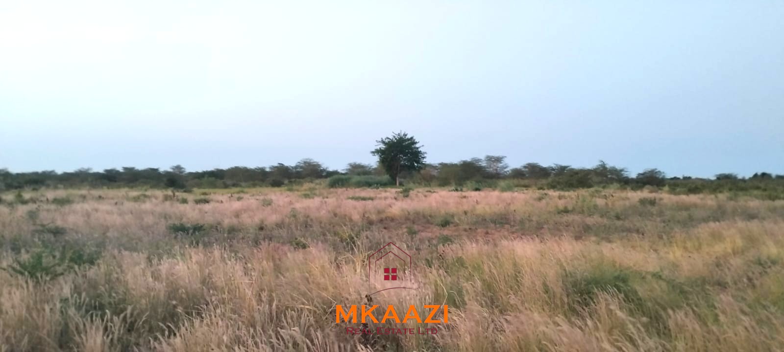 7-hectare fertile agricultural land for sale in Mariano, Kakoneni near River Sabaki with shallow groundwater and ideal conditions for commercial farming.