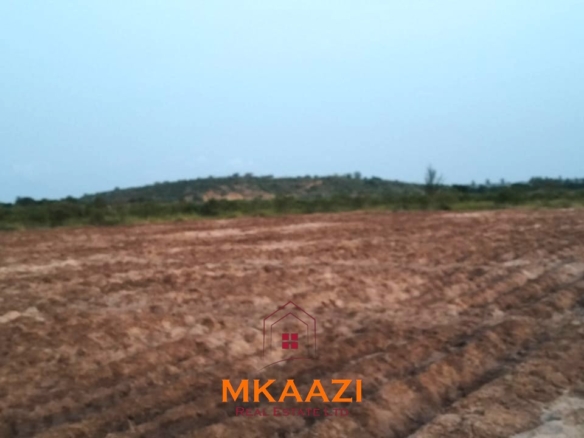 7-hectare fertile agricultural land for sale in Mariano, Kakoneni near River Sabaki with shallow groundwater and ideal conditions for commercial farming.