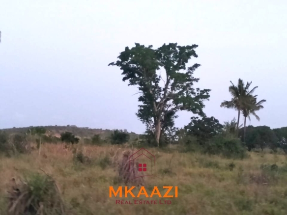 7-hectare fertile agricultural land for sale in Mariano, Kakoneni near River Sabaki with shallow groundwater and ideal conditions for commercial farming.