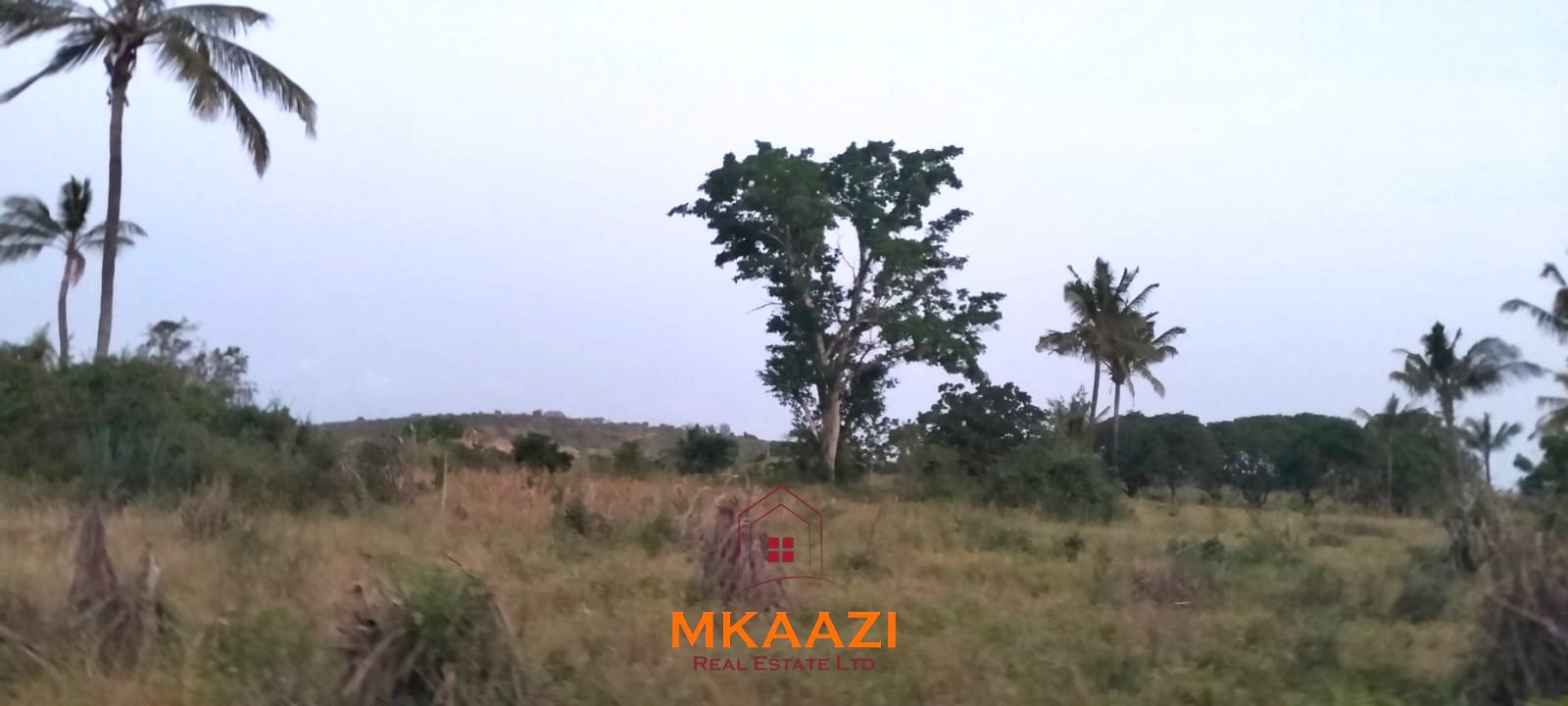 7-hectare fertile agricultural land for sale in Mariano, Kakoneni near River Sabaki with shallow groundwater and ideal conditions for commercial farming.