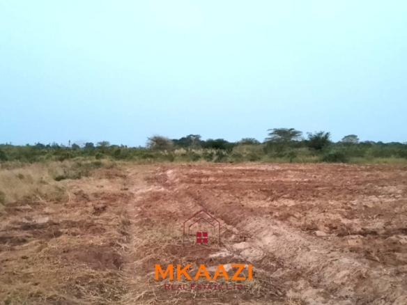 7-hectare fertile agricultural land for sale in Mariano, Kakoneni near River Sabaki with shallow groundwater and ideal conditions for commercial farming.