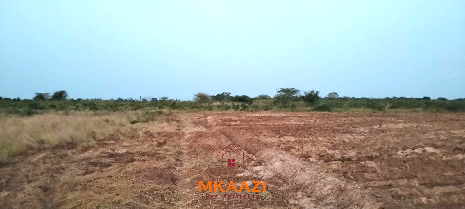 7-hectare fertile agricultural land for sale in Mariano, Kakoneni near River Sabaki with shallow groundwater and ideal conditions for commercial farming.