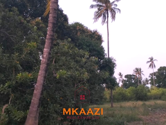 7-hectare fertile agricultural land for sale in Mariano, Kakoneni near River Sabaki with shallow groundwater and ideal conditions for commercial farming.