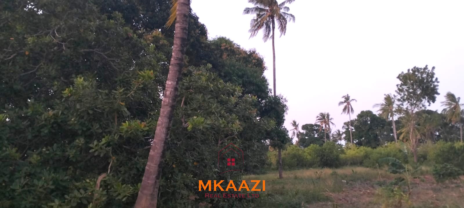 7-hectare fertile agricultural land for sale in Mariano, Kakoneni near River Sabaki with shallow groundwater and ideal conditions for commercial farming.
