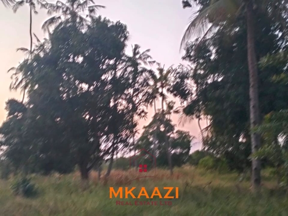 7-hectare fertile agricultural land for sale in Mariano, Kakoneni near River Sabaki with shallow groundwater and ideal conditions for commercial farming.