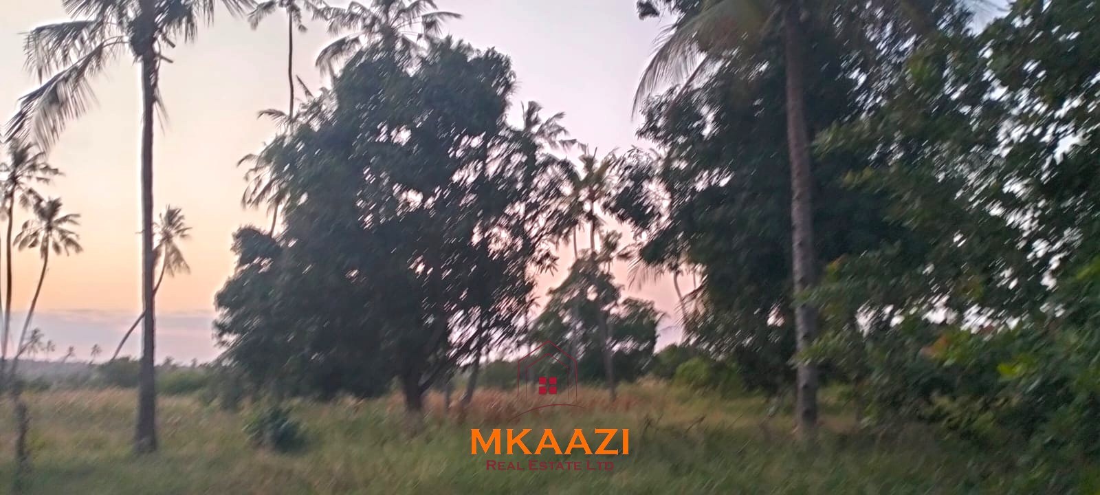 7-hectare fertile agricultural land for sale in Mariano, Kakoneni near River Sabaki with shallow groundwater and ideal conditions for commercial farming.