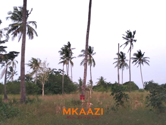 7-hectare fertile agricultural land for sale in Mariano, Kakoneni near River Sabaki with shallow groundwater and ideal conditions for commercial farming.