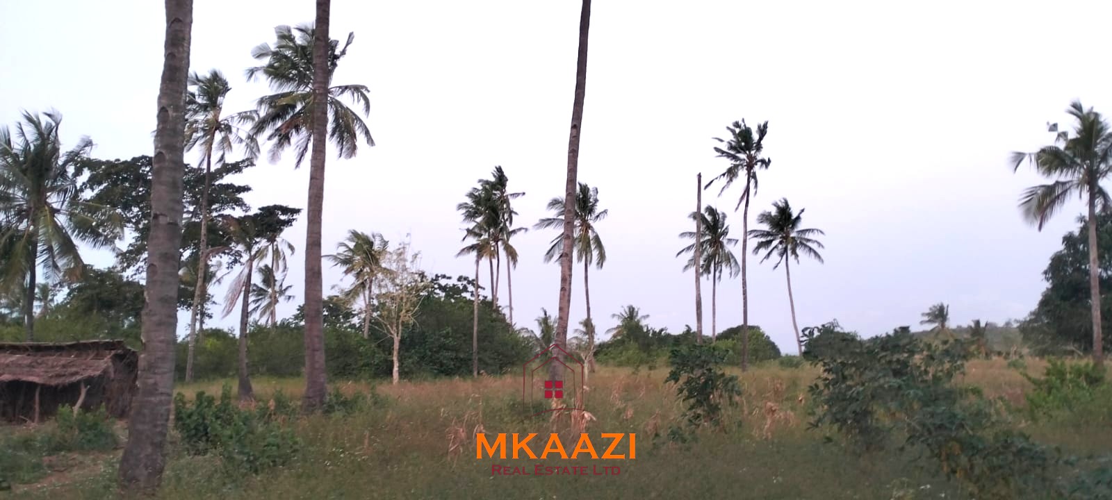 7-hectare fertile agricultural land for sale in Mariano, Kakoneni near River Sabaki with shallow groundwater and ideal conditions for commercial farming.