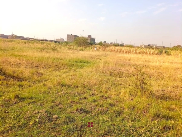 5-acre industrial-zoned land for sale in Thika Municipality with ready title deed, flat terrain, and easy access to major roads and utilities.