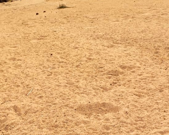 8,366-acre freehold ranch on the banks of the Ewaso Nyiro River with a permanent river running through the property, ideal for agriculture, ranching, conservation, and investment.