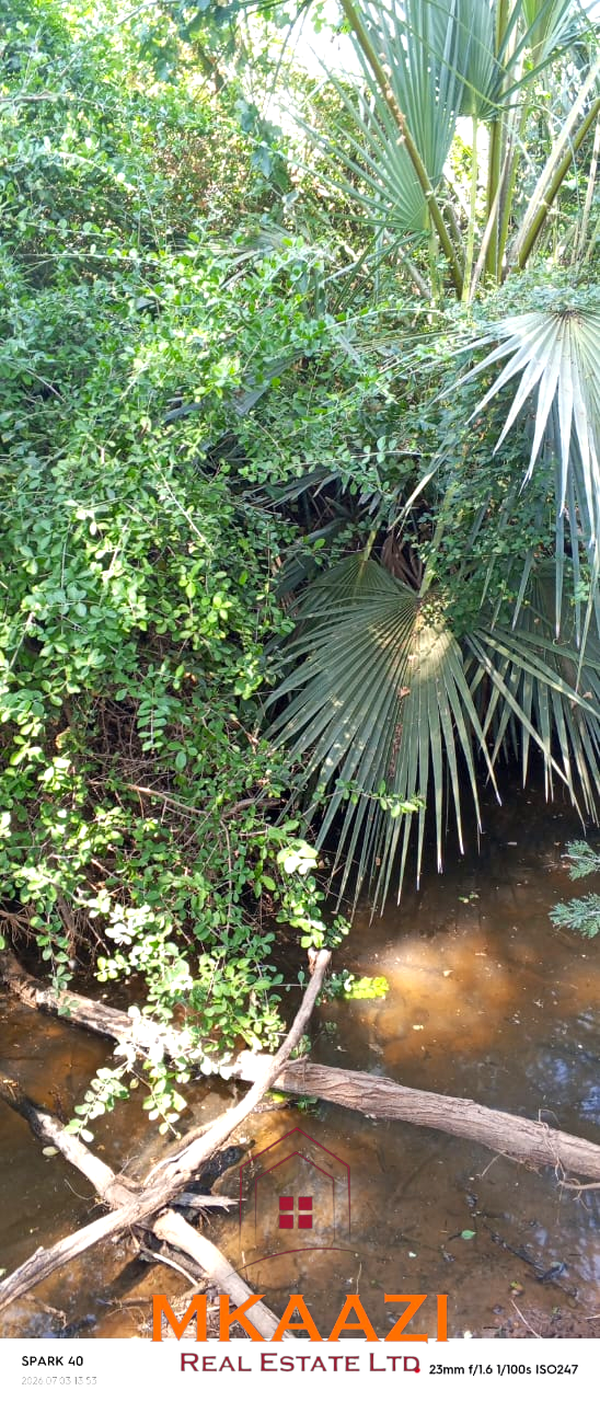 8,366-Acre Riverfront Ranch for Sale in Kenya 8,366-acre freehold ranch on the banks of the Ewaso Nyiro River with a permanent river running through the property, ideal for agriculture, ranching, conservation, and investment.
