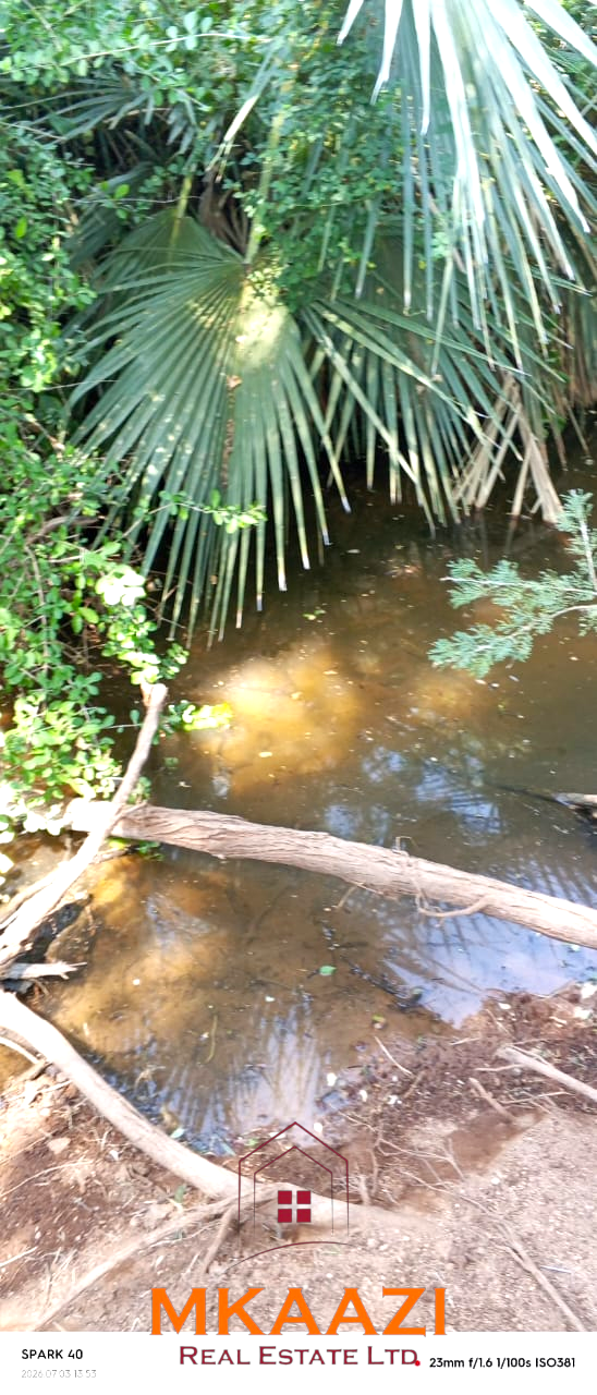8,366-Acre Riverfront Ranch for Sale in Kenya 8,366-acre freehold ranch on the banks of the Ewaso Nyiro River with a permanent river running through the property, ideal for agriculture, ranching, conservation, and investment.