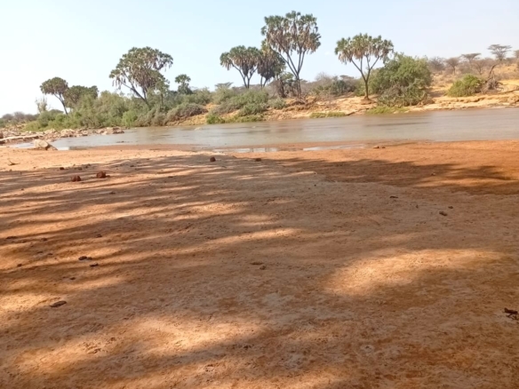 8,366-acre freehold ranch on the banks of the Ewaso Nyiro River with a permanent river running through the property, ideal for agriculture, ranching, conservation, and investment.