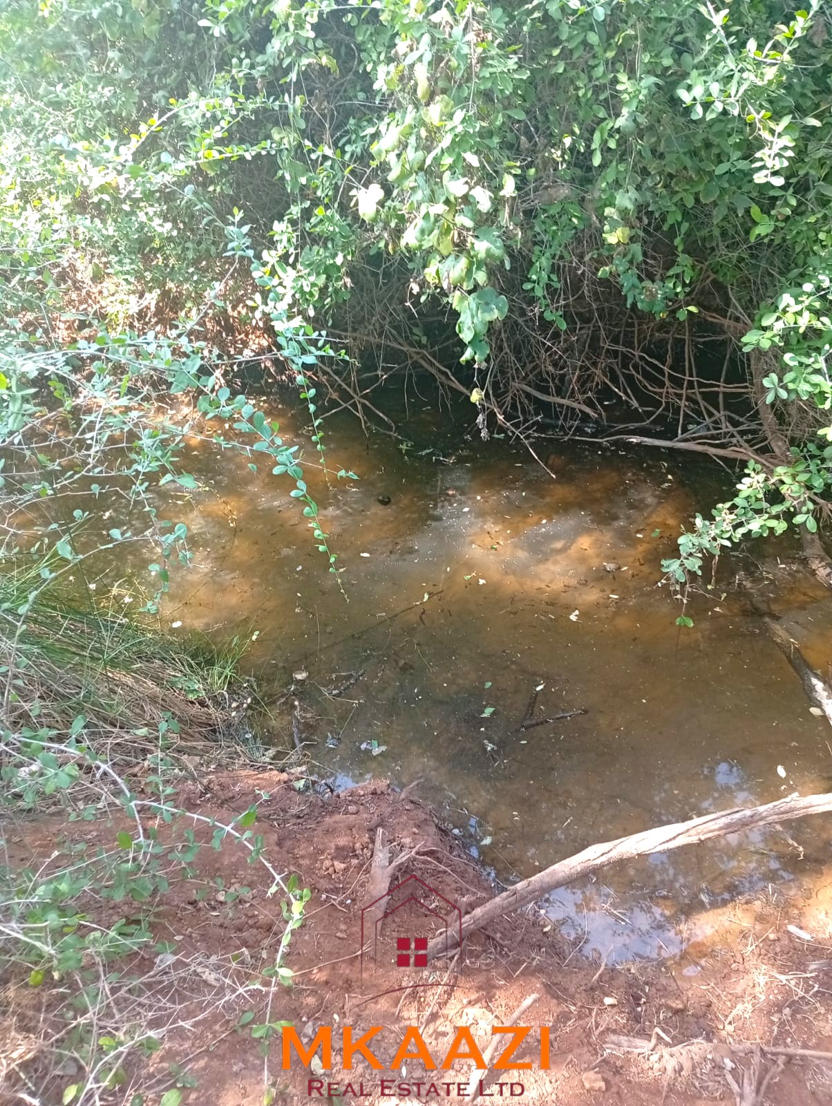 8,366-Acre Riverfront Ranch for Sale in Kenya 8,366-acre freehold ranch on the banks of the Ewaso Nyiro River with a permanent river running through the property, ideal for agriculture, ranching, conservation, and investment.