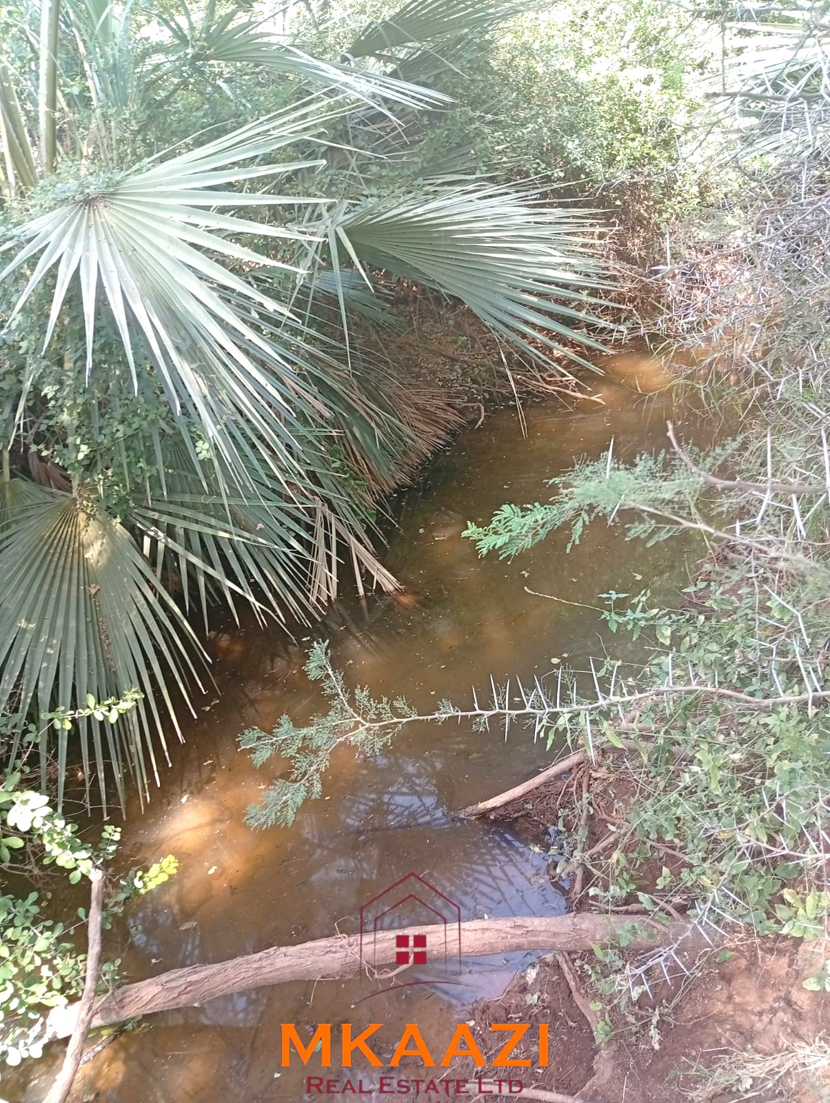 8,366-Acre Riverfront Ranch for Sale in Kenya 8,366-acre freehold ranch on the banks of the Ewaso Nyiro River with a permanent river running through the property, ideal for agriculture, ranching, conservation, and investment.