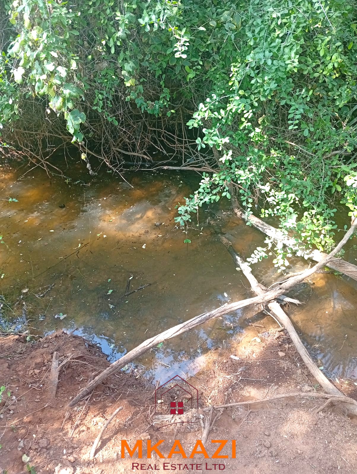 8,366-Acre Riverfront Ranch for Sale in Kenya 8,366-acre freehold ranch on the banks of the Ewaso Nyiro River with a permanent river running through the property, ideal for agriculture, ranching, conservation, and investment.