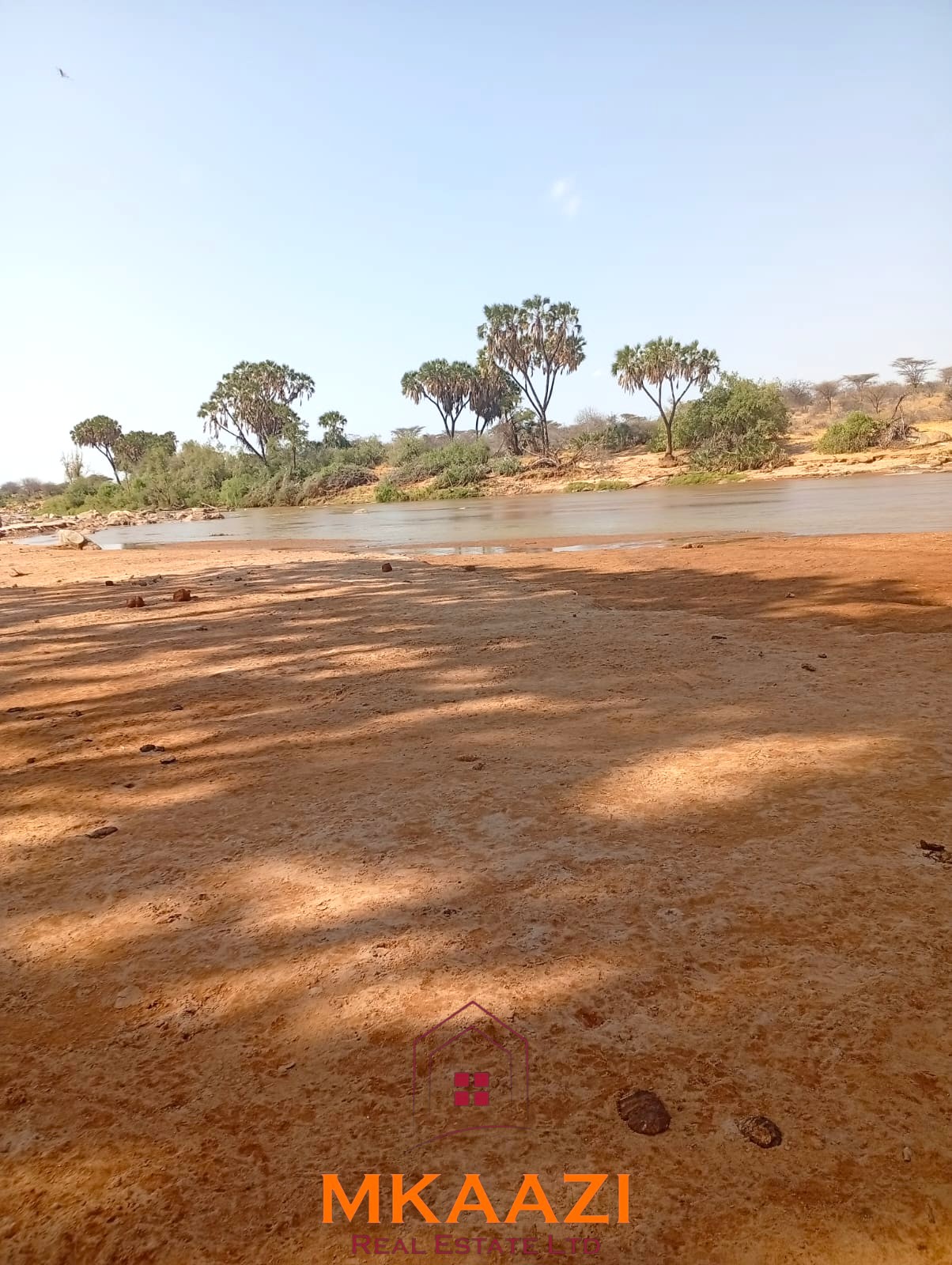 8,366-Acre Riverfront Ranch for Sale in Kenya 8,366-acre freehold ranch on the banks of the Ewaso Nyiro River with a permanent river running through the property, ideal for agriculture, ranching, conservation, and investment.