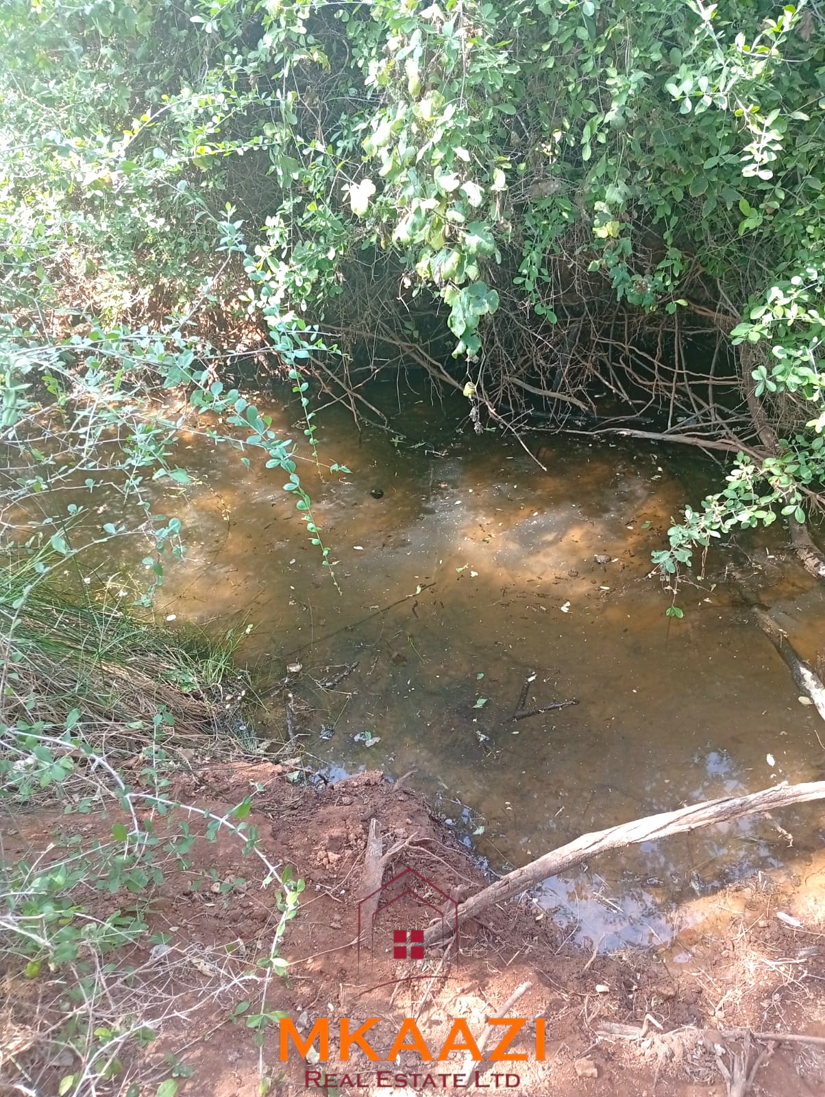 8,366-Acre Riverfront Ranch for Sale in Kenya 8,366-acre freehold ranch on the banks of the Ewaso Nyiro River with a permanent river running through the property, ideal for agriculture, ranching, conservation, and investment.