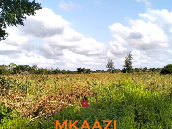 Prime 1-acre freehold plots for sale in Ndeu, Hindi, Lamu County with fertile virgin land, excellent road access, and strong investment potential.